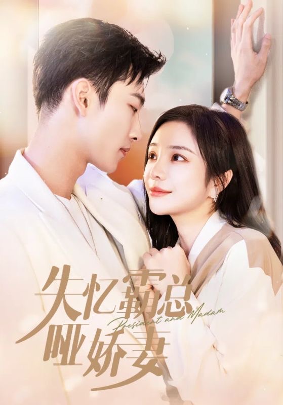 失忆霸总哑娇妻海报