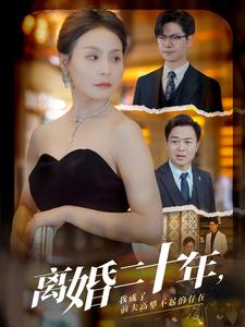 离婚二十年,我成了前夫高攀不起的存在海报