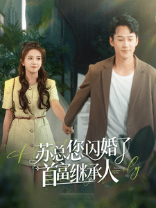 苏总您闪婚了首富继承人海报