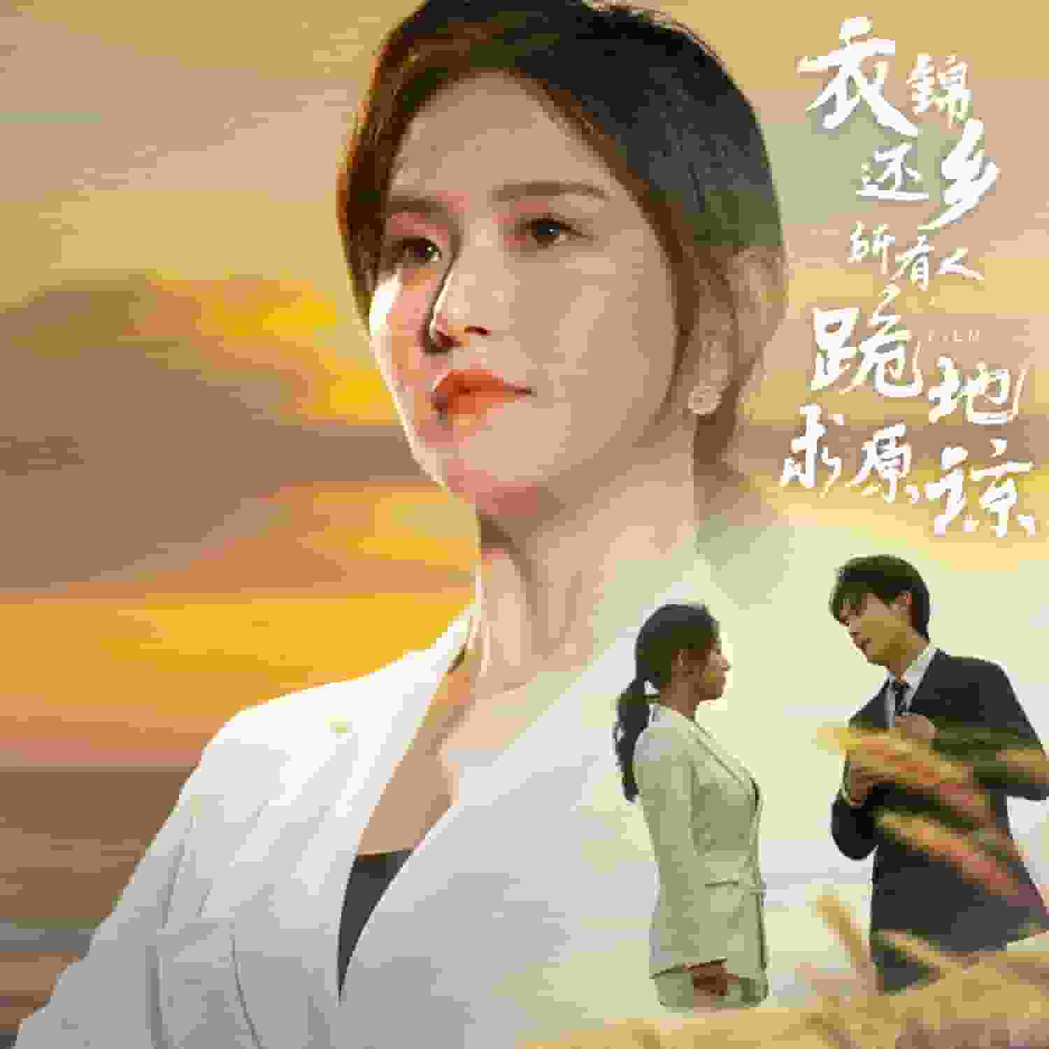 衣锦还乡,所有人跪地求原谅海报