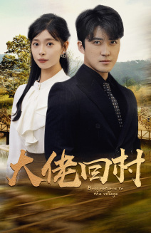 大佬回村海报