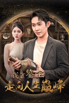 我靠鉴宝走向人生巅峰海报
