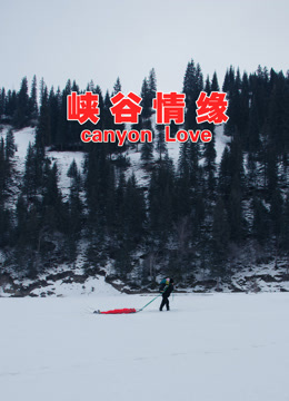 峡谷情缘海报