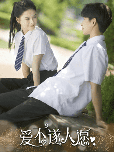 爱不遂人愿海报