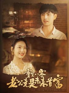 父子神探之双子座海报