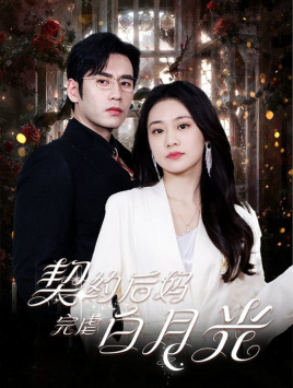 与游戏中心的少女异文化交流的故事海报