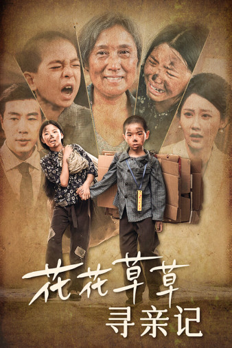 花花草草寻亲记海报
