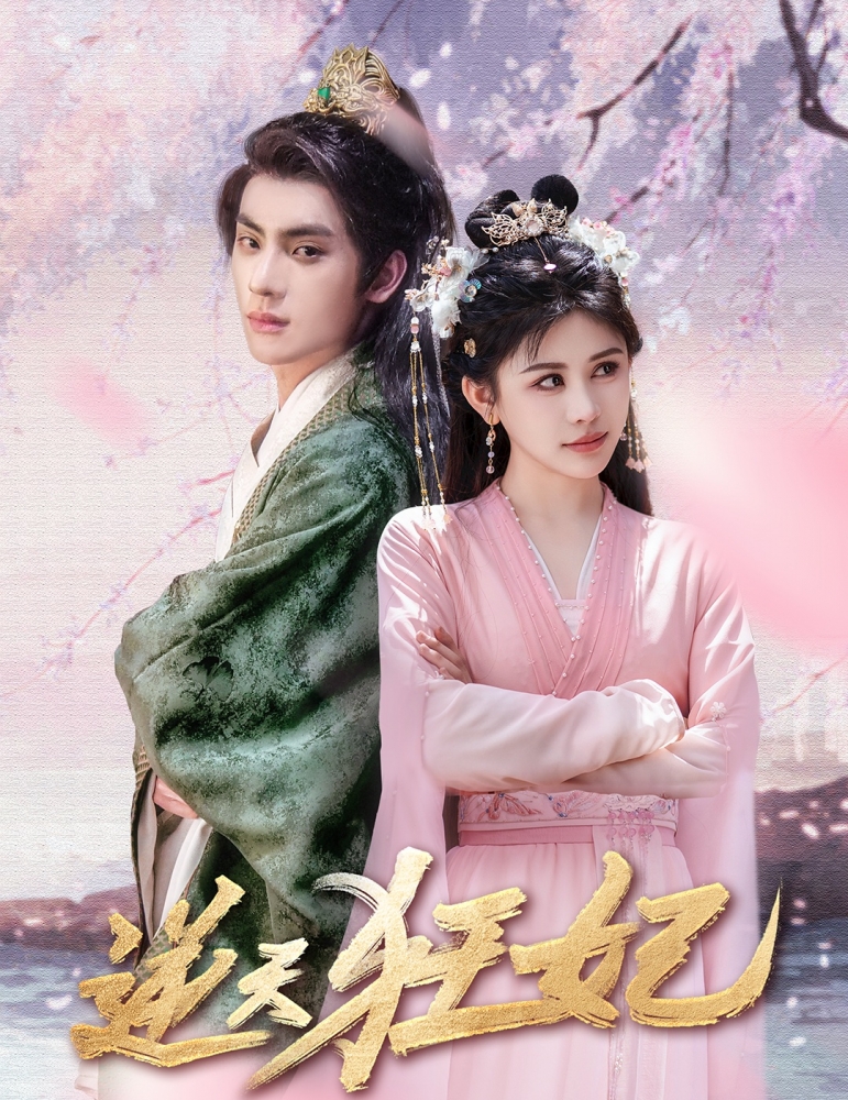 闪亮的张二狗海报