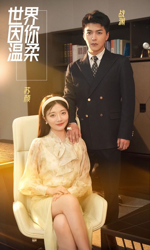 世界因你温柔海报