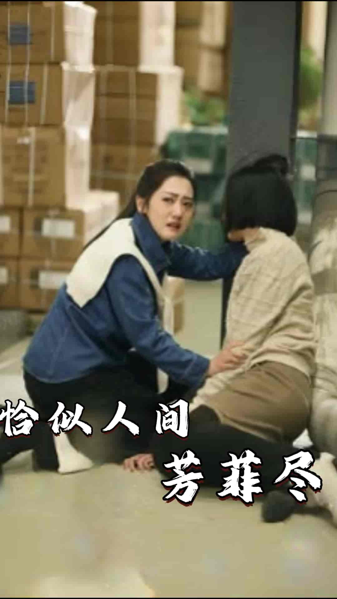 恰似人间芳菲尽海报