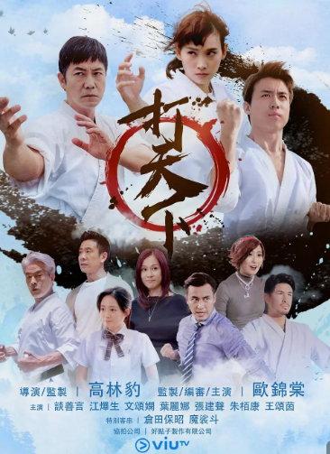 打天下粤语海报