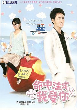 命中注定我爱你2008海报