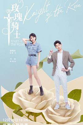 魔法护士小麦R海报