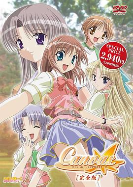 Canvas 茶色的主题海报