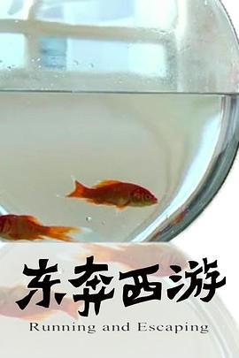 11度青春之东奔西游海报