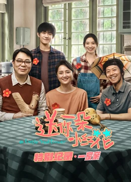 送你一朵小红花 特别纪录第一集海报