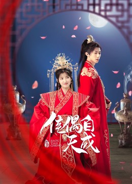 佳偶自天成海报