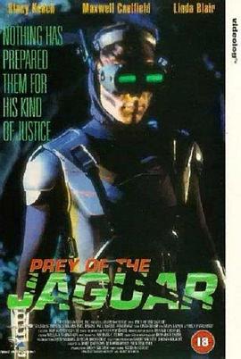 迎头痛击国语版海报