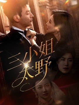 三小姐太野海报剧照