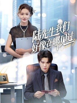 陆先生我们好像在哪见过海报