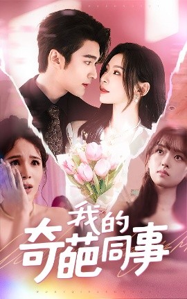 我的奇葩同事海报