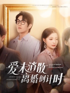 爱未消散离婚倒计时海报