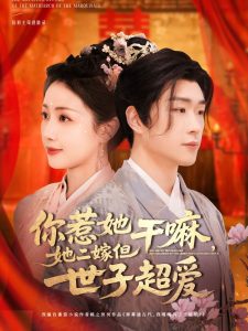 你惹她干嘛,她二嫁但世子超爱海报