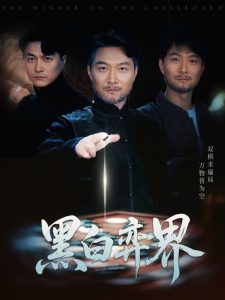 马路对面的房子海报