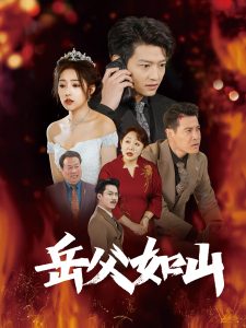 岳父如山海报