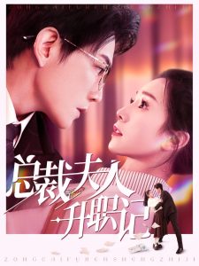 大理风云之血蝴蝶海报