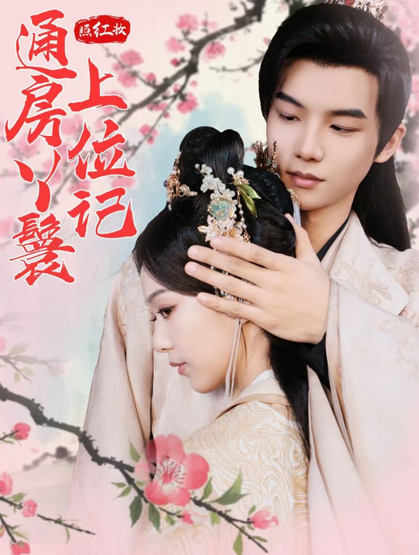照红妆通房丫鬟上位记海报