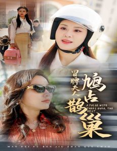 冒牌夫人鸠占鹊巢剧照