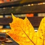 泪成河,唤母归海报