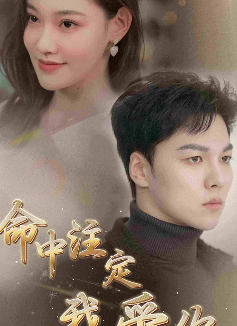 命中注定我爱你短剧海报