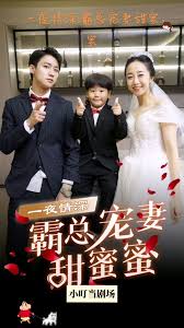 霸总宠妻甜蜜蜜海报