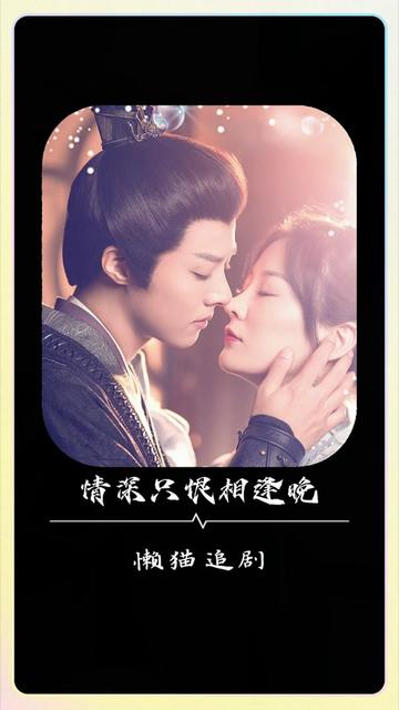 情深只恨相逢晚海报