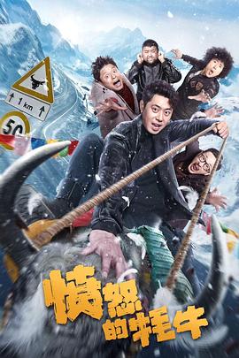 愤怒的牦牛海报