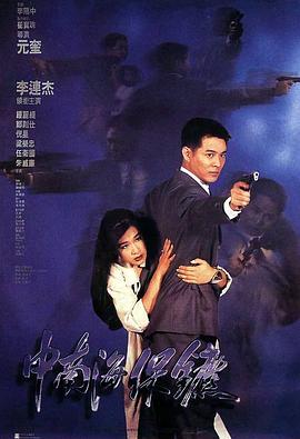 中南海保镖粤语海报
