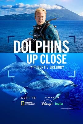 摄影师贝尔蒂与海豚零距离海报