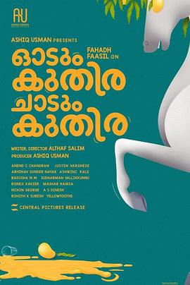 一匹马奔跑，一匹马跳跃海报