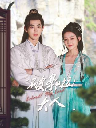 破案啦！大人海报