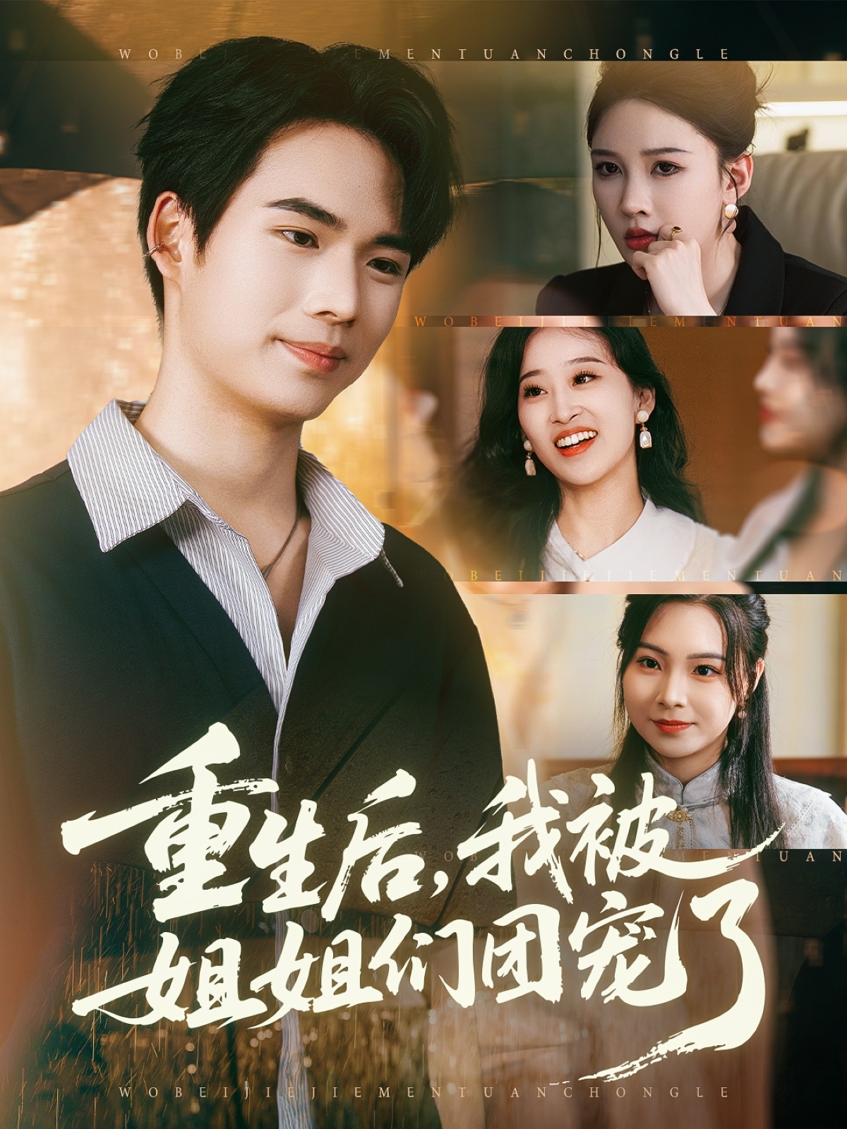 史提芬的自白海报