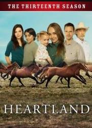 心灵之地第十三季海报