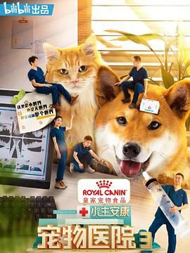 忍者与极道海报