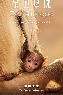 宝贝星球国语海报
