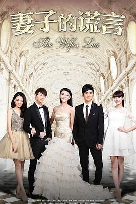 妻子的谎言2015海报