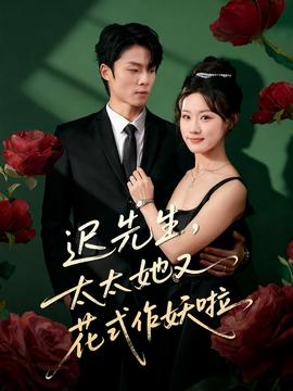 迟先生，太太她又花式作妖啦海报剧照