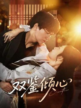 双鉴倾心海报剧照