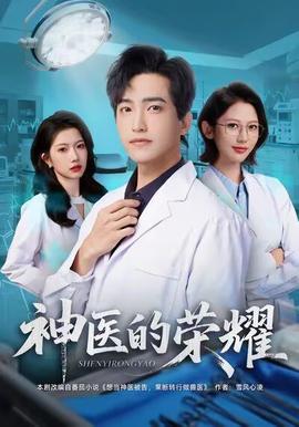 神医的荣耀海报剧照