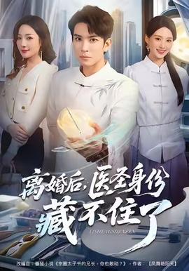 离婚后，医圣身份藏不住了海报剧照